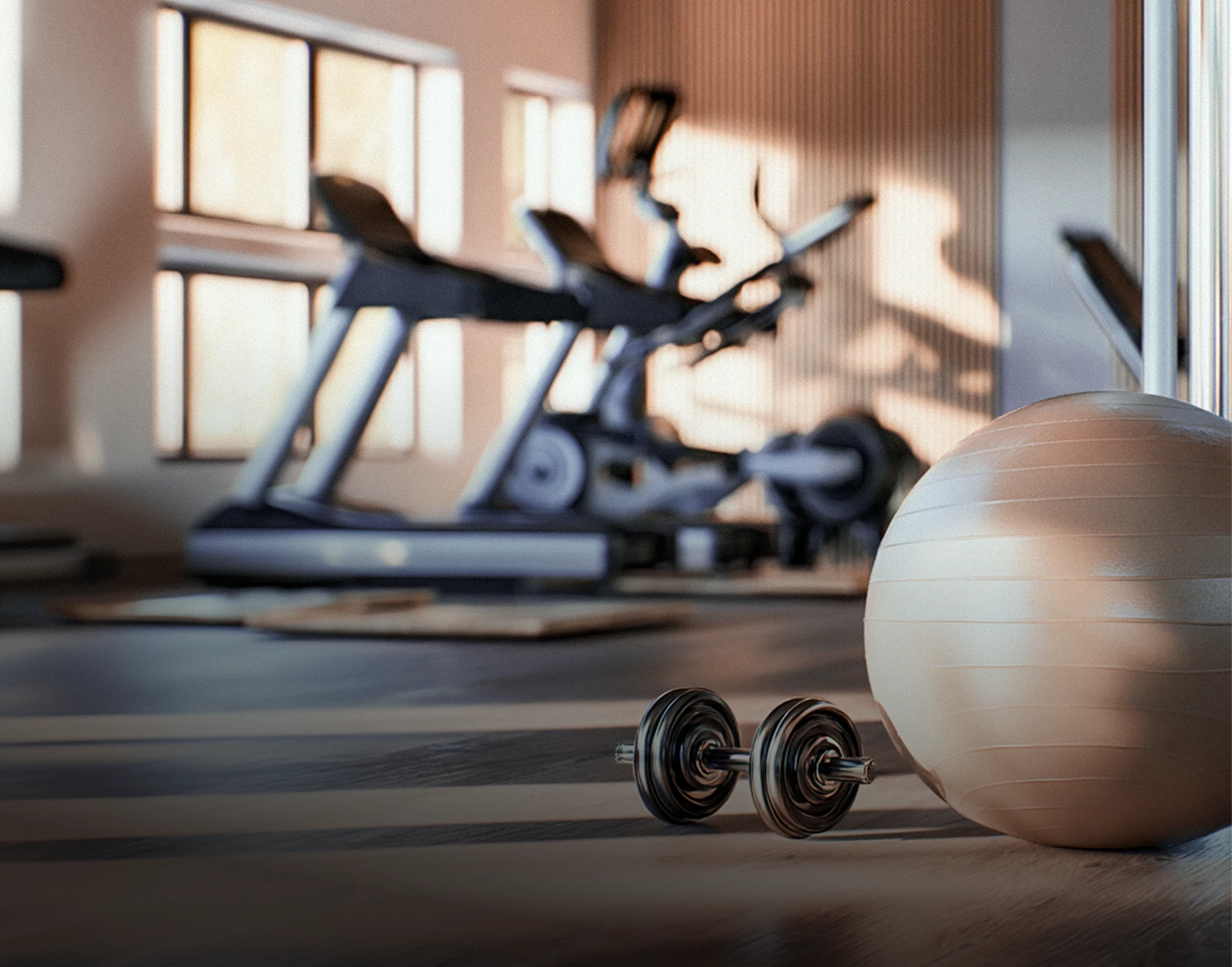 Palla da ginnastica e manubrio in primo piano in una palestra con tapis roulant e cyclette sullo sfondo.